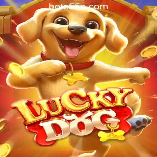 Discovering 'LuckyDog': Brazil's Innovative Slot Game Experience